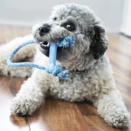 Puppy Goodie Bone With Rope