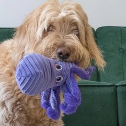 Pulpo Peluche