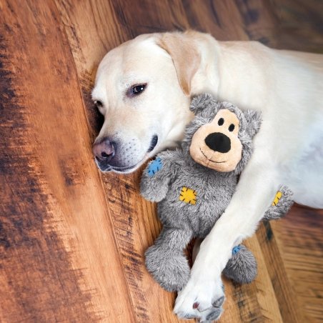 Oso Peluche