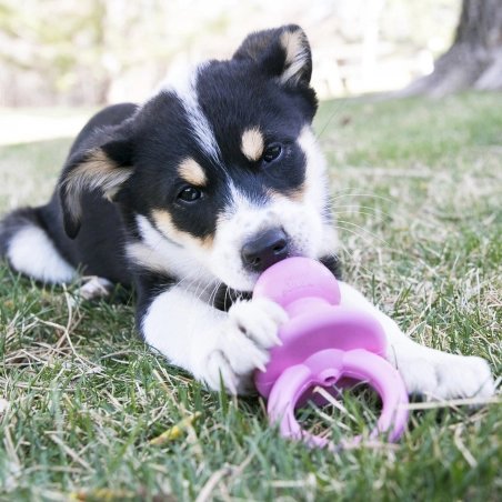 Kong Puppy Binkie