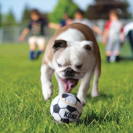 Pelotas Deportivas Variadas