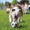 Pelotas Deportivas Variadas