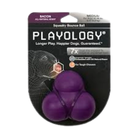 Playology Squeaky Ball