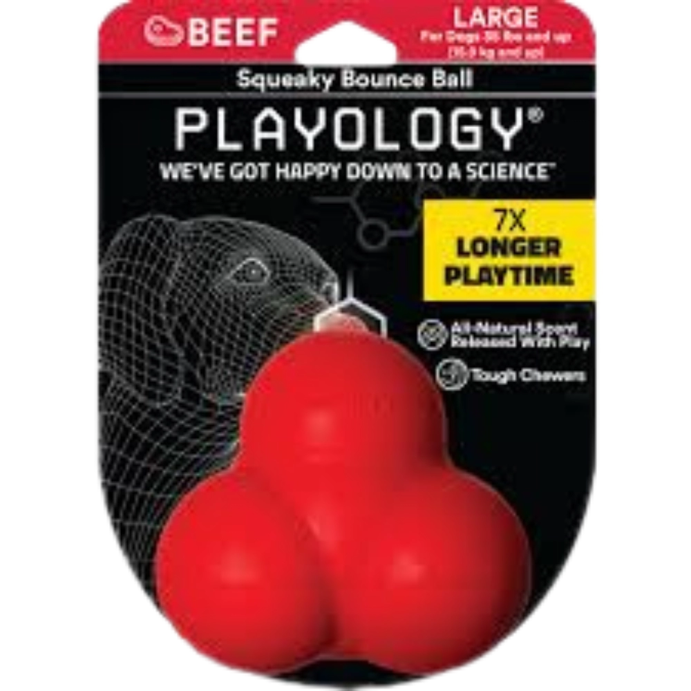 Playology Squeaky Ball