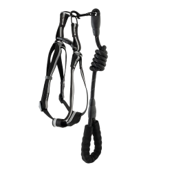 Correa con arnés cómodo y atractivo