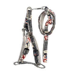 Conjunto con estampado personalizado arnés y correa