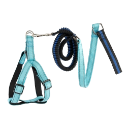 Correa con arnés para perros con tecnología sofisticada